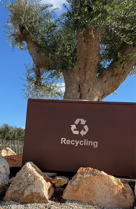 An olive tree behind a recycling sign