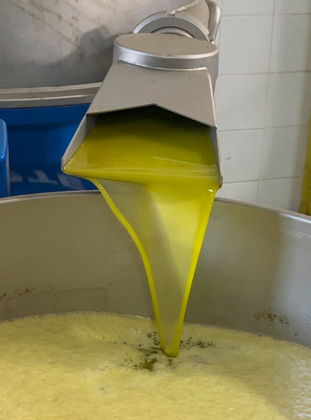 freshly squeezed olive oil in olive mill