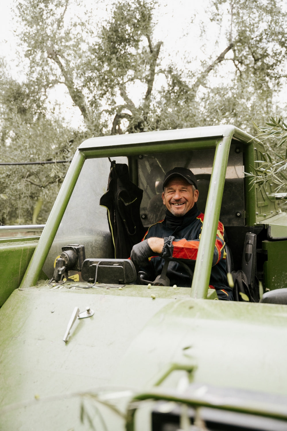 Italian Olive Grove owner in olive harvest